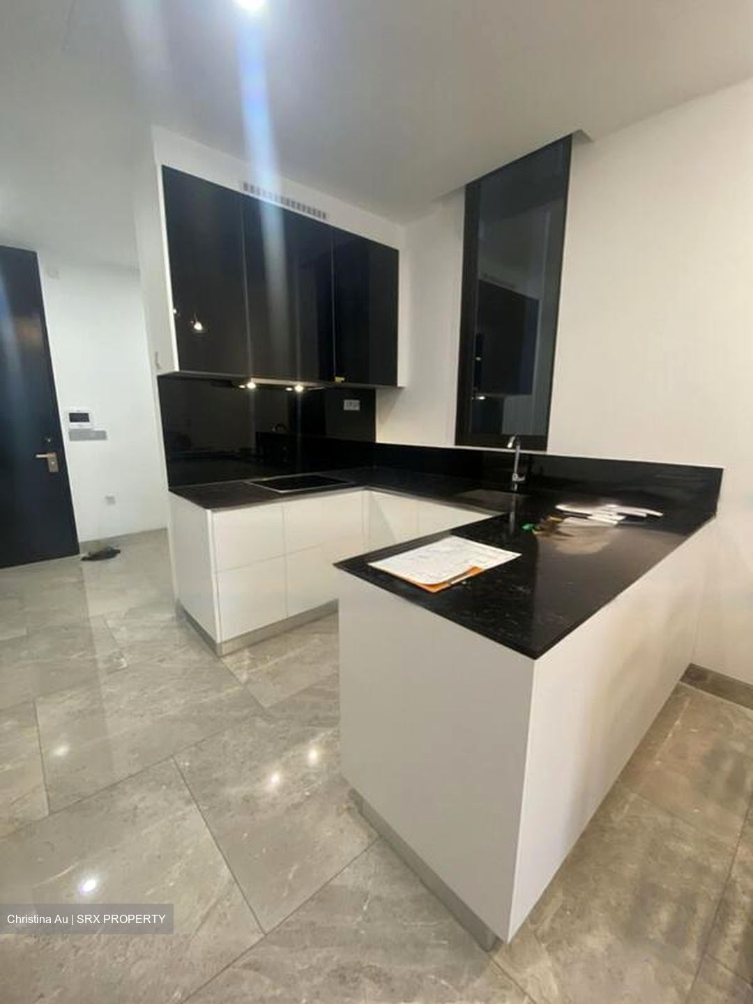 Martin Modern (D9), Condominium #496727981